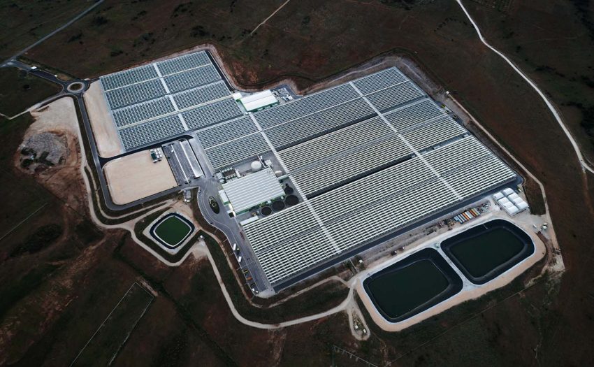 East of Macedonia - Greenhouse - 27.20 MWe